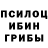 Галлюциногенные грибы прущие грибы SALAY