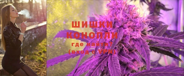 mdma Снежногорск