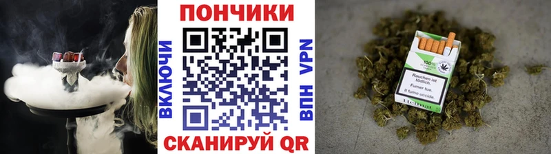 Бошки марихуана планчик hydra как зайти Ивангород цены наркотик